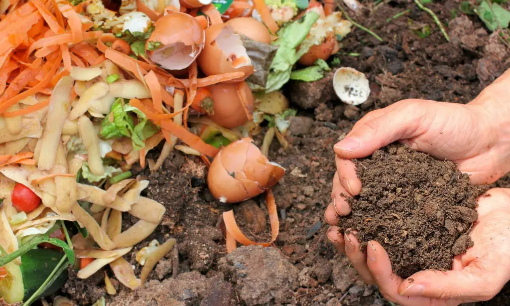 Organic fertilizers made from kitchen waste