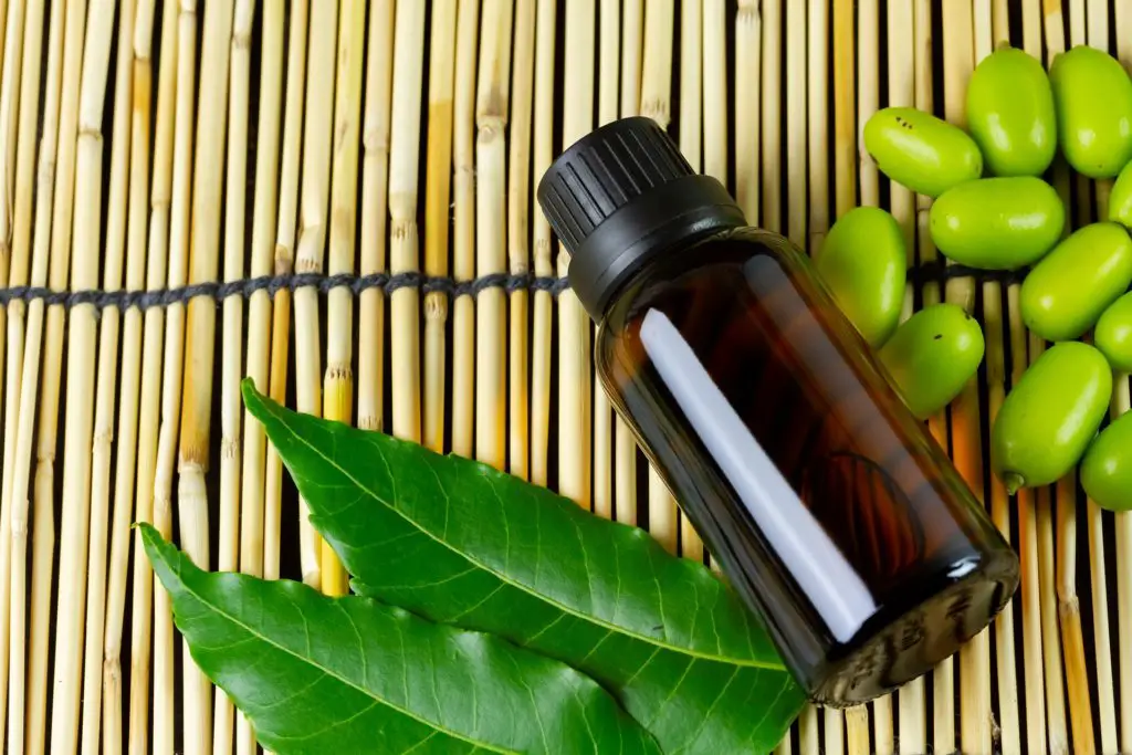 neem oil and leaves 