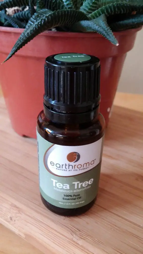 Image showing tea tree oil that can help deodorize smelly kitchen gloves